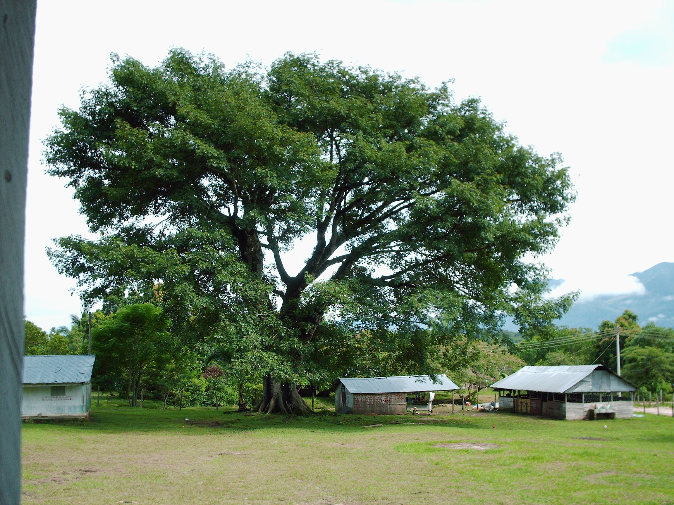 Dicembre 2004 – Agua Para Todos e Brigate Sanitarie nella Zona Selva, Chiapas
