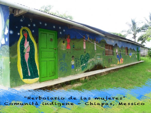 Gli Erbolari delle donne nelle comunità indigene zapatiste
