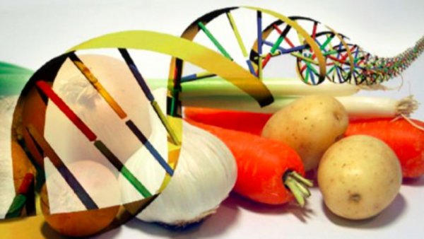 Gli OGM 2.0 sono nel tuo cibo e nei tuoi cosmetici?